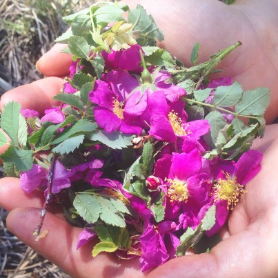 2015-06-18 10.56.53-1