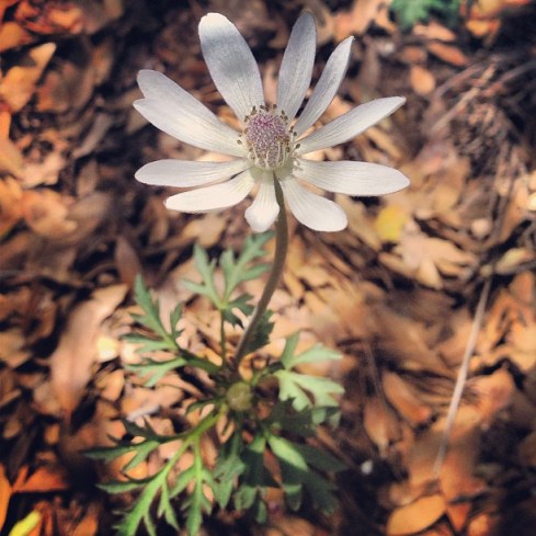 576230_10151385149622099_1123466440_n