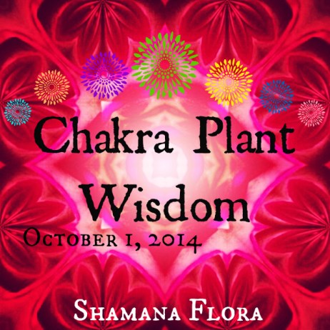 chakra classbutton.jpg