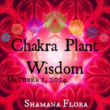 chakra classbutton.jpg