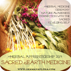 apprenticeship2014 button