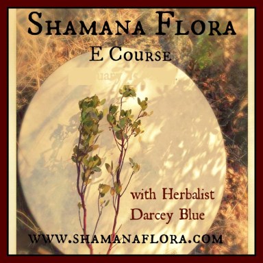 shamanaflora ecoursenodate