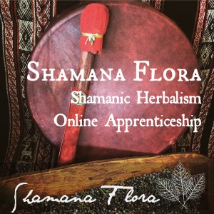 shamanafloracoursebutton txt