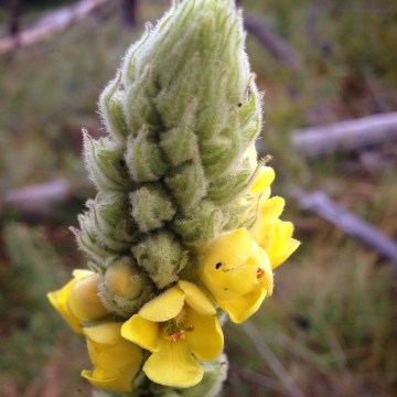 2014-09-27 14.13.31-1