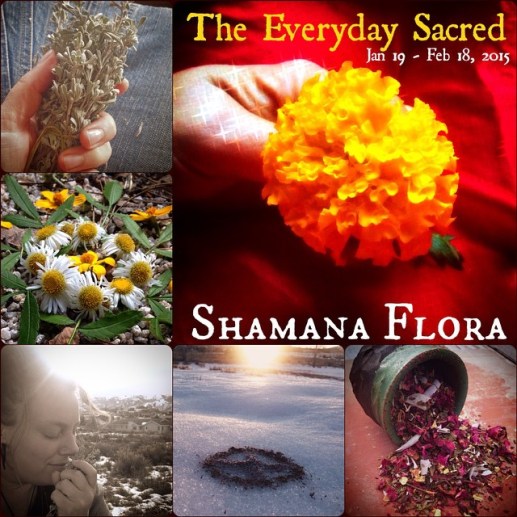 1535452_10152610483757099_8836973689768501636_n