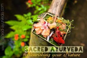 sacred ayurveda
