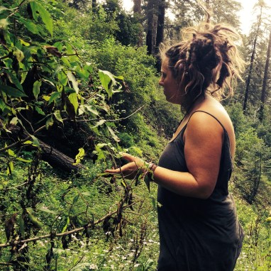 2014-09-06 12.51.15-1