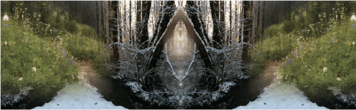 forest-temple-banner