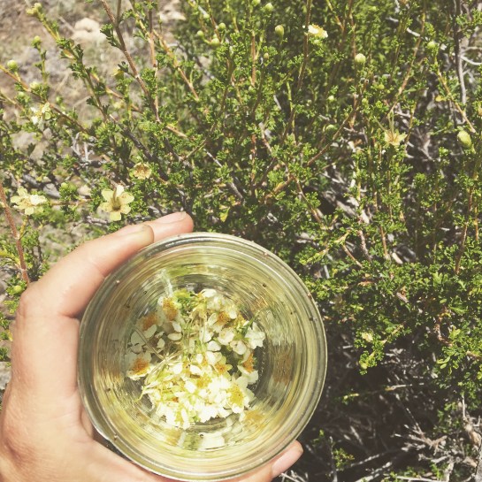 2016-07-24 12.00.31-1